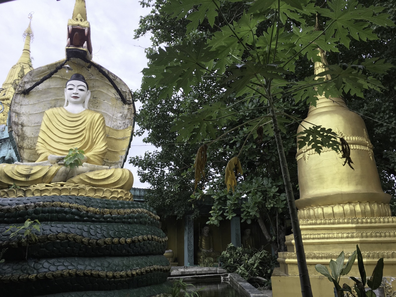 Communing with Wizards in Myanmar