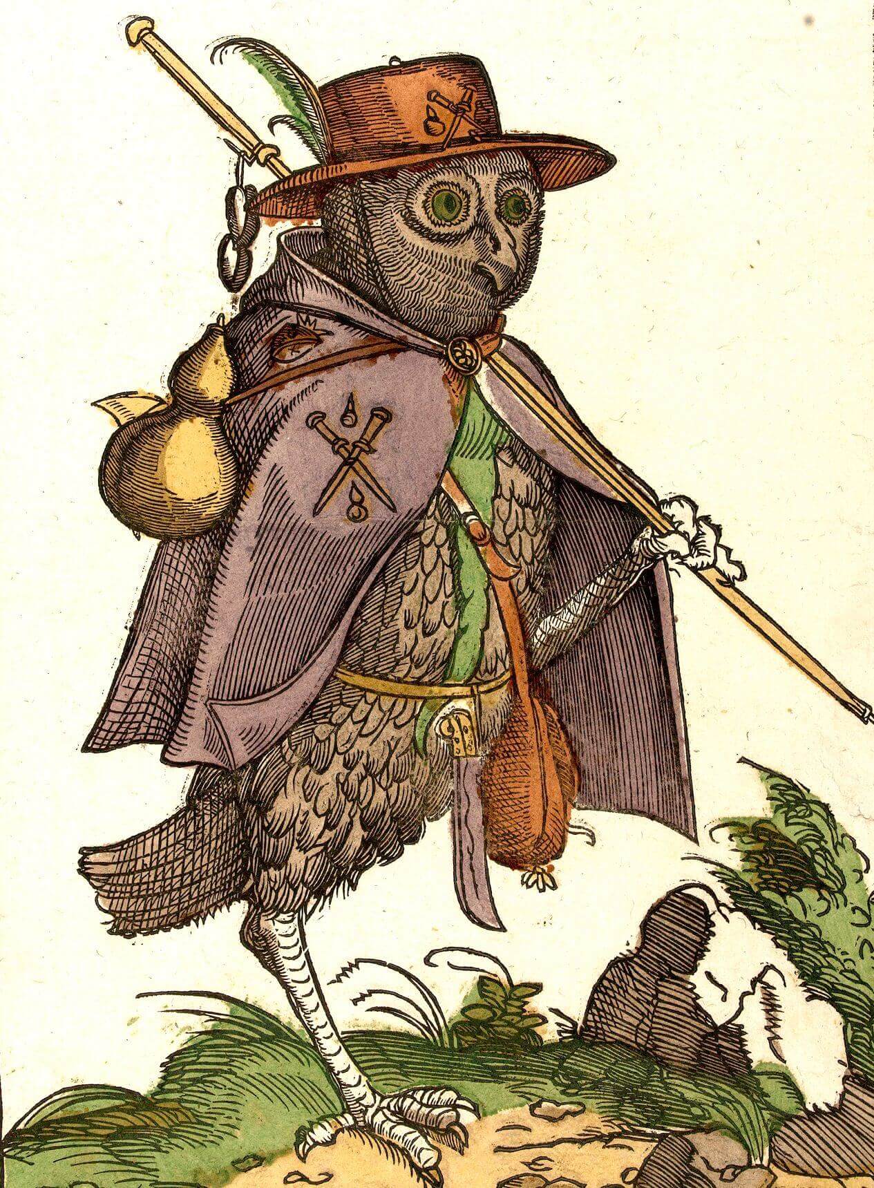 Owl disguised as pilgrim